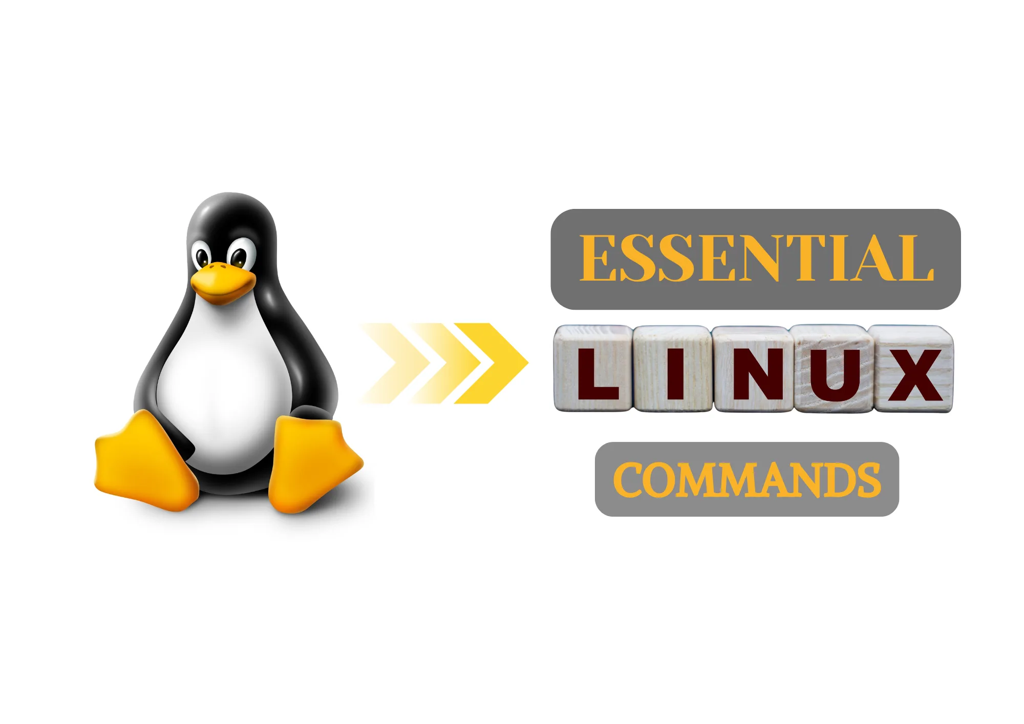 Mastering Linux: Essential Commands Every Novice Should Know π§